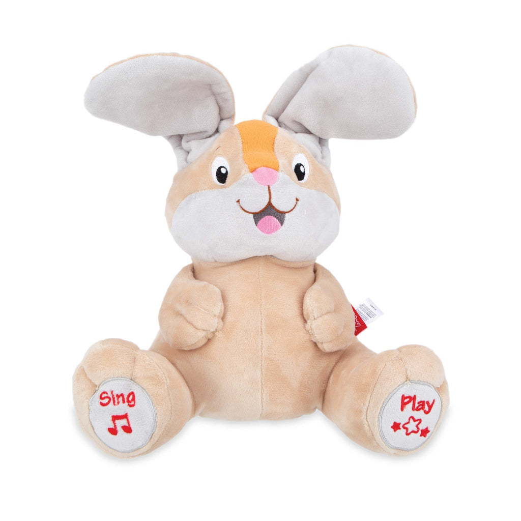Plush Motion Toy (FUP8)