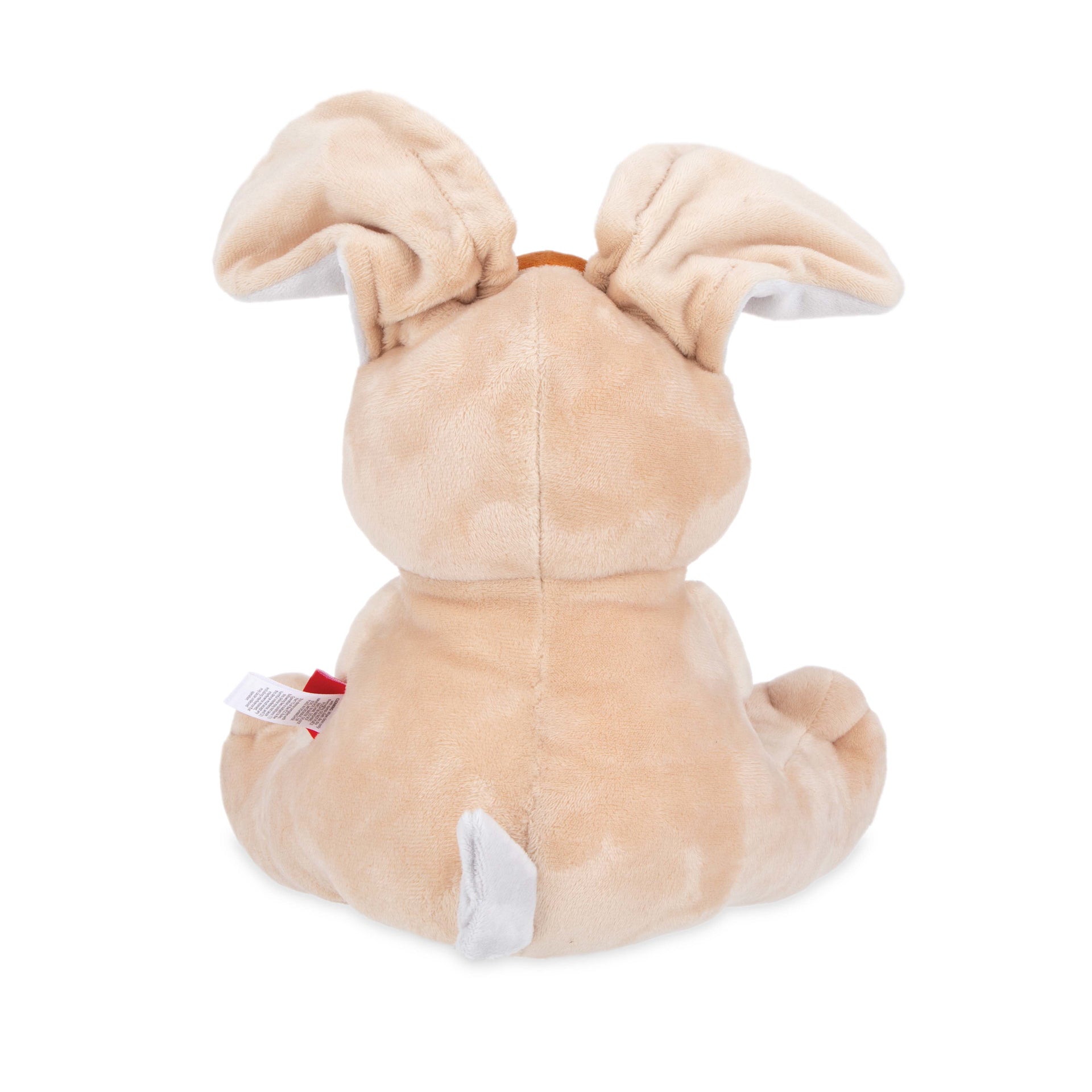 Plush Motion Toy (FUP8)