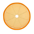 Orange Slice Silicone Teether (TIB7)