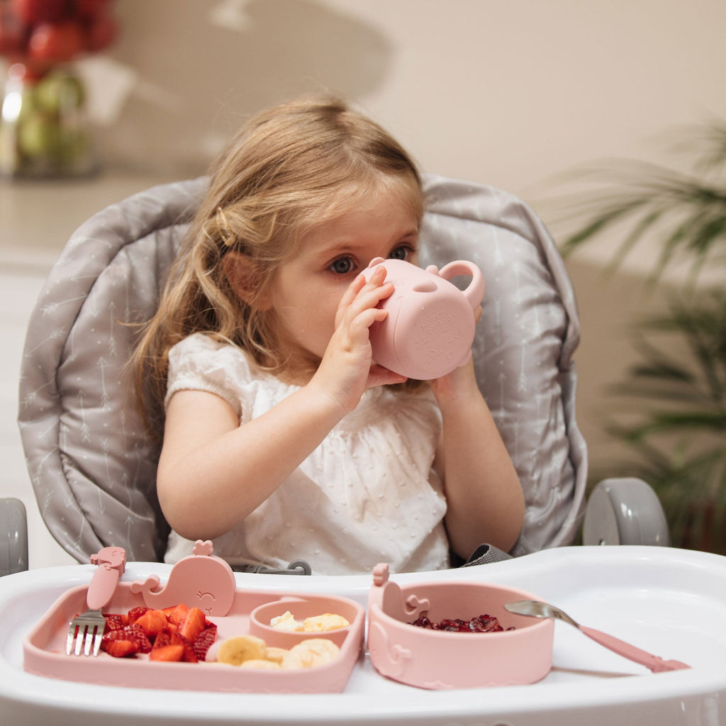 Animal Friends 6-Piece Dinnerware Set - Pink Whale (SAY1)