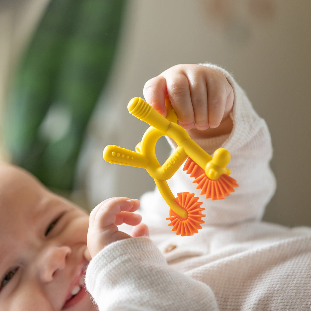 Geo Zoo Silicone Teether (HBBR)