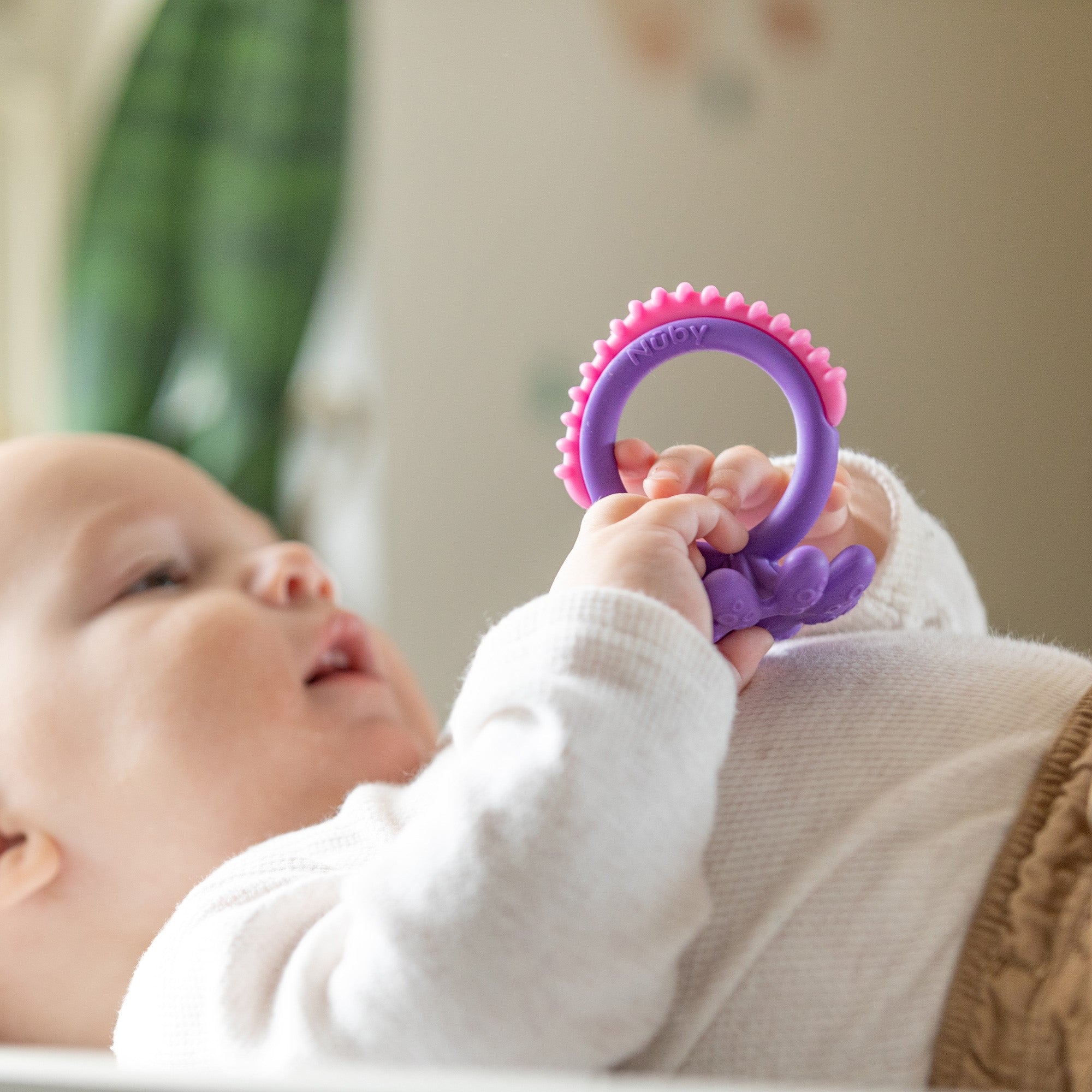 Geo Zoo Silicone Teether (HBBR)