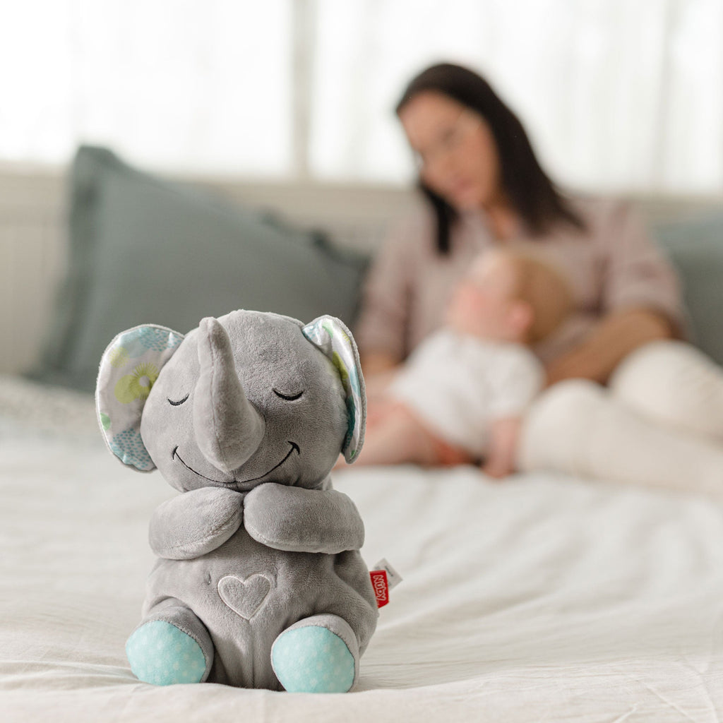 Motion & Sound Plush (ILBQ)