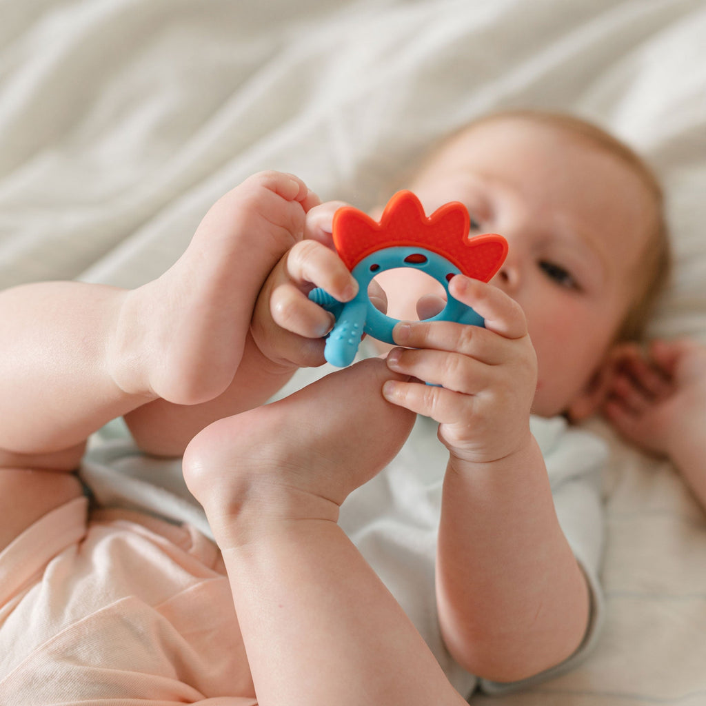 Geo Zoo Silicone Teether (HBBR)