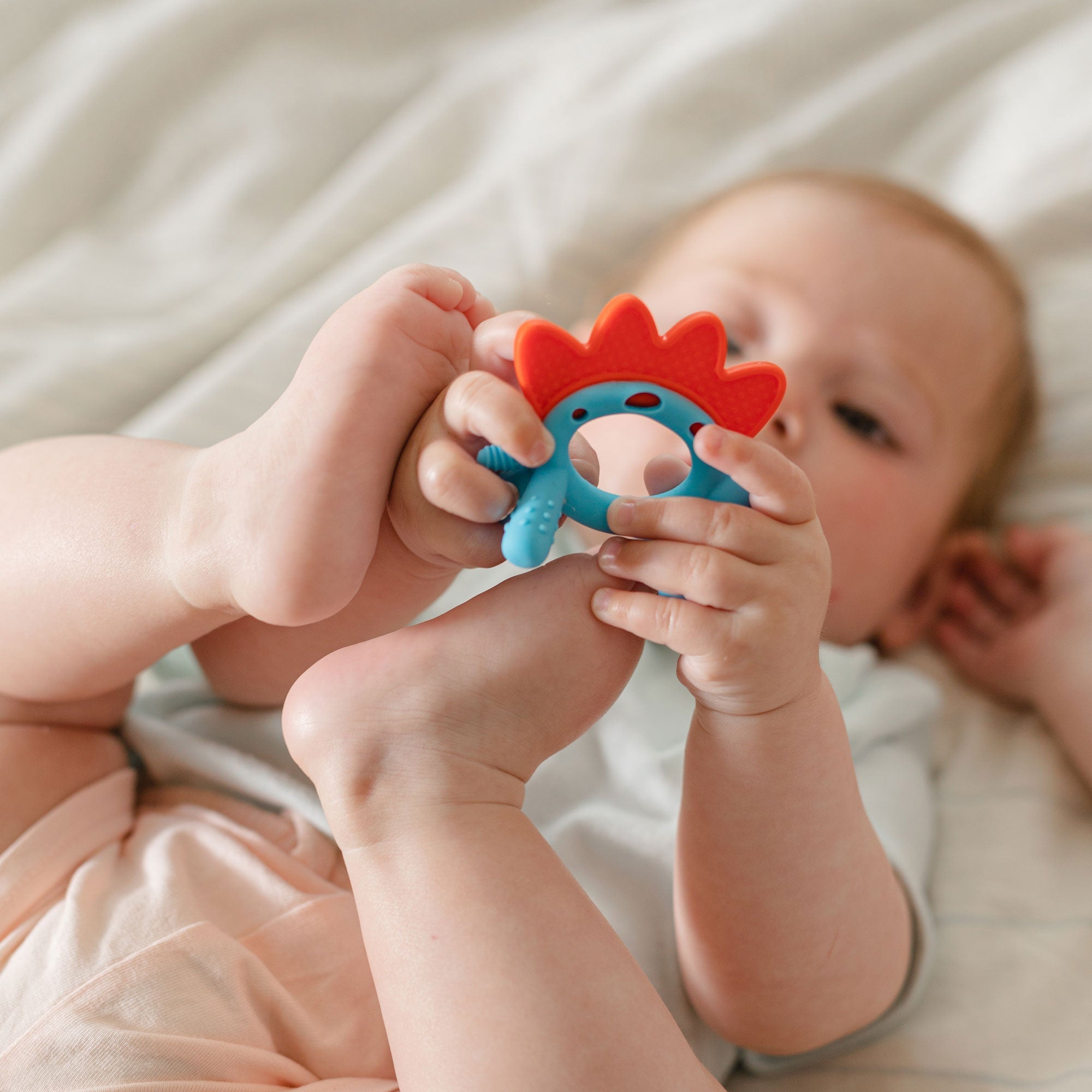 Geo Zoo Silicone Teether (HBBR)