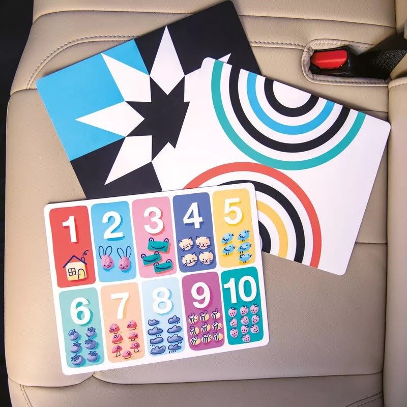Safe in the Seat Car Seat Protector (4CCP)
