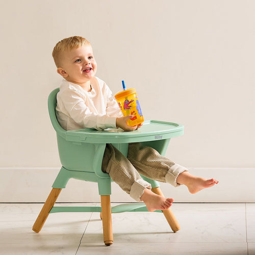 4-in-1 Multi-Use High Chair | Green Garden (848P)