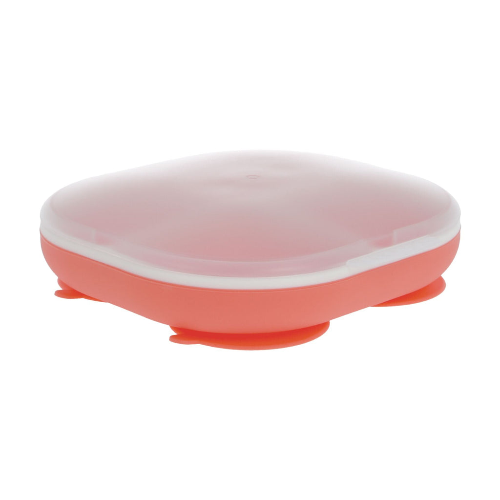 Rectangular Silicone Suction Plate (2 Pack) | Coral / Aqua (8LG0)