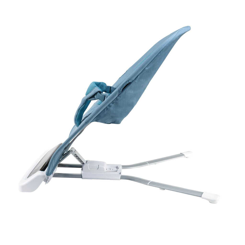 Deluxe Baby Bouncer Seat | Blue (N5NG)