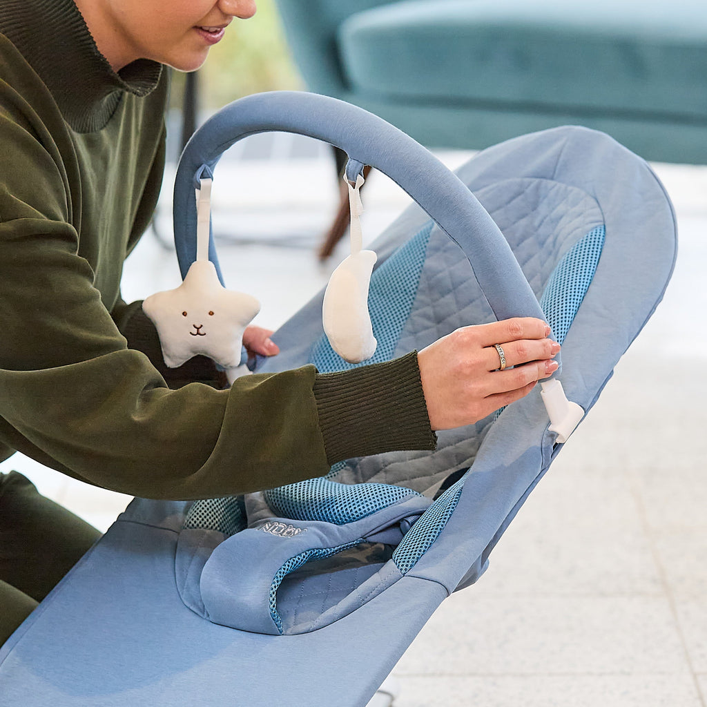 Deluxe Baby Bouncer Seat | Blue (N5NG)