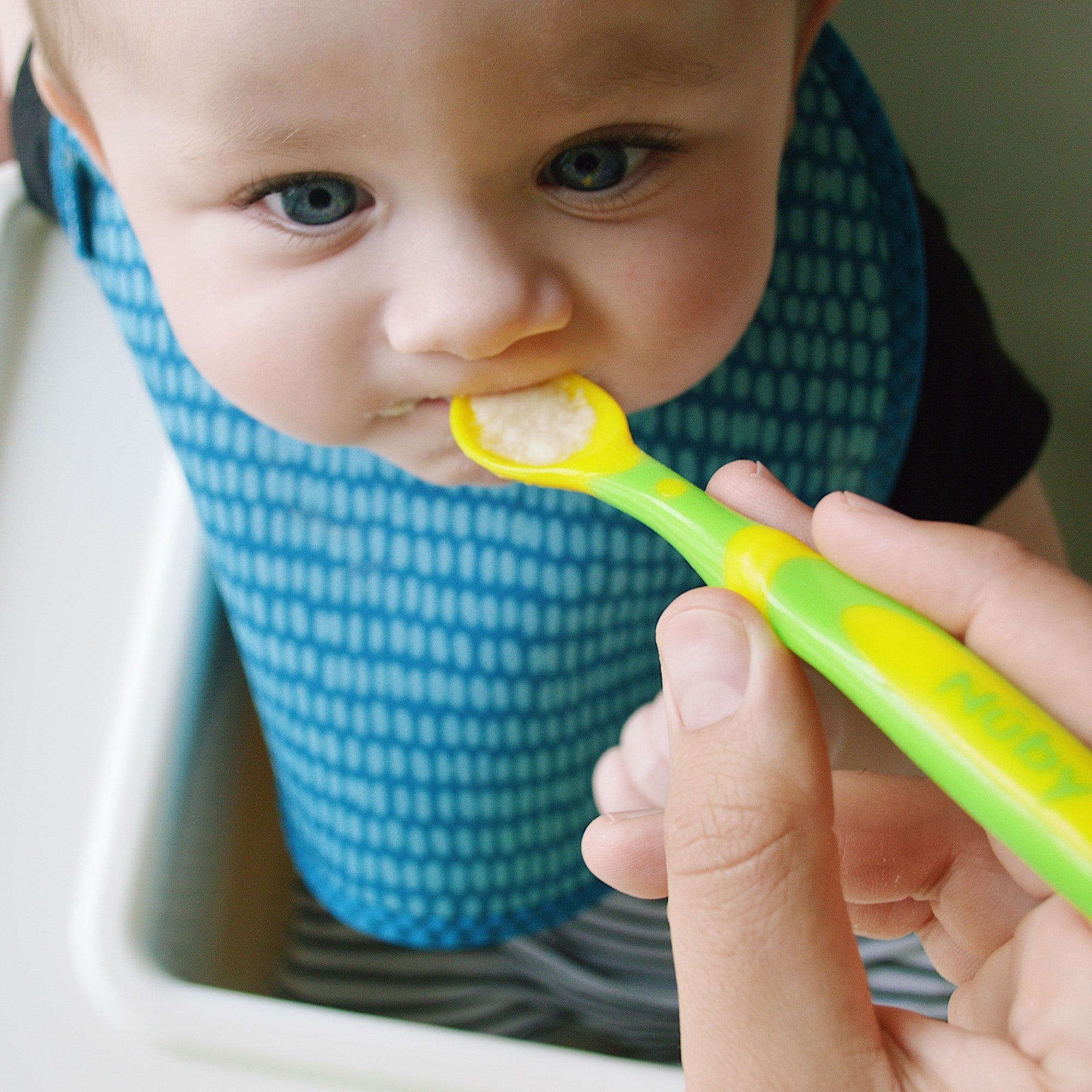 Long Handle Weaning Spoons (6 Pack) (5DKN)